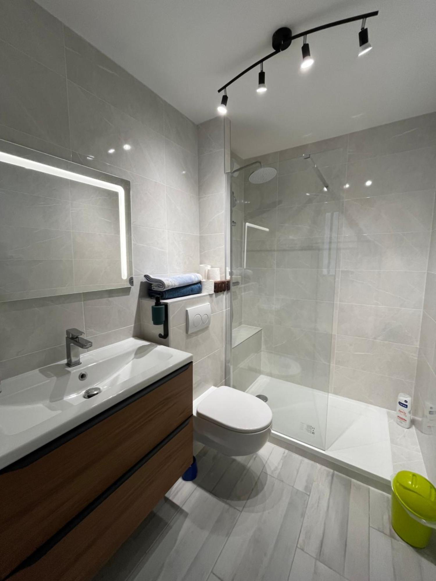 Cocon Annecy 2024 Grand Balcon Le Lac Et Centre Ville A Pied المظهر الخارجي الصورة